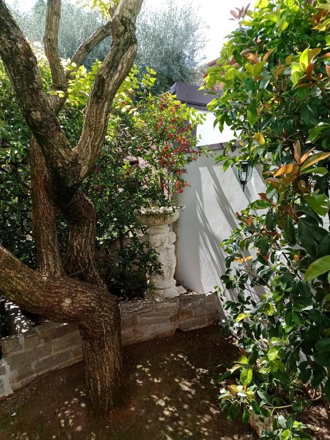 B&B Il Cantuccio Desenzano del Garda Ngoại thất bức ảnh